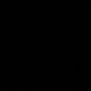 Meet your Posher, Yarianna